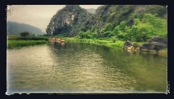 The majestic wetlands of the Van Long Nature Reserve, Vietnam.