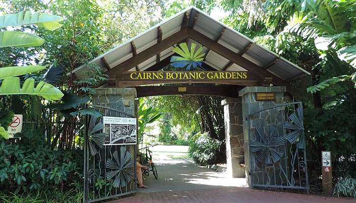 Visit the lush green botanical garden of Cairns