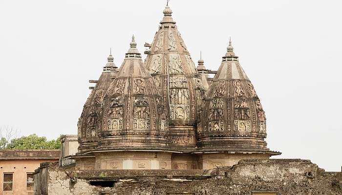 The fascinating and intricate carvings in Ganesh Bagh in Uttar Pradesh