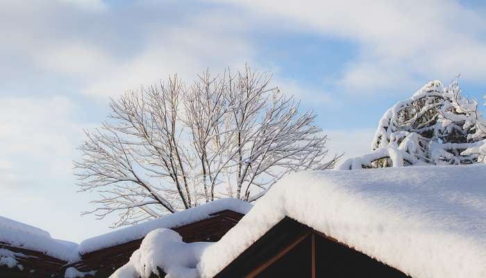 A winter wonderland as extreme snowfall occurs in the region.