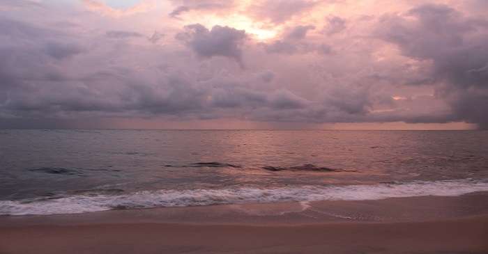 Resorts Near Marari Beach To Explore The Beauty Of Kerala