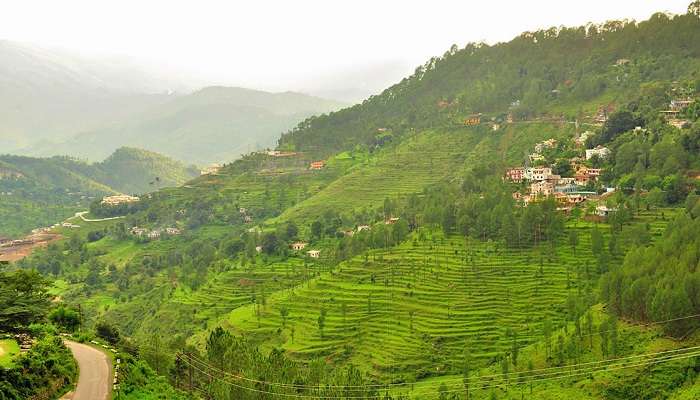 Places to Stay in Almora