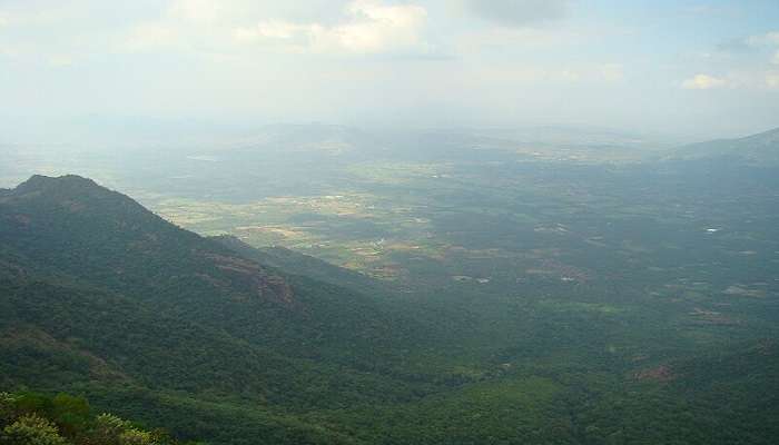 तमिलनाडु के पूर्वी घाट में स्थित, कोल्ली हिल्स घूमने के लिए अच्छी जगह है