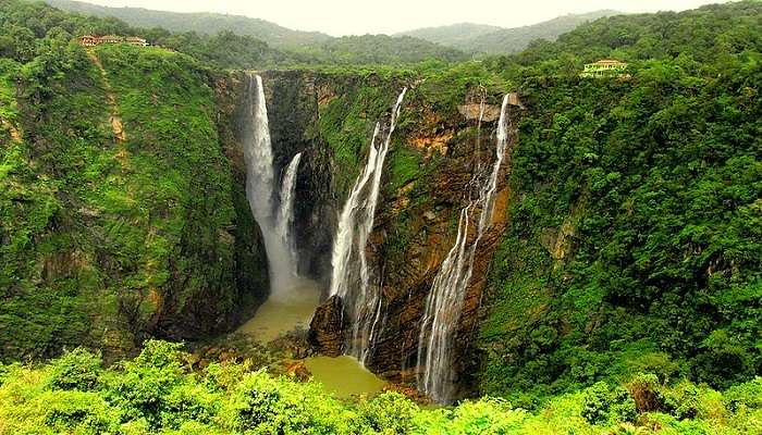  830 मीटर की ऊंचाई से गिरने वाला जोग फॉल्स कर्नाटक के प्रमुख पर्यटन स्थलों में से एक है 