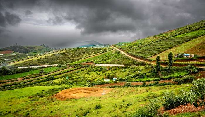 कर्नाटक और उसके आसपास हनीमून स्थलों में से एक मदुरै - कुन्नूर - ऊटी है
