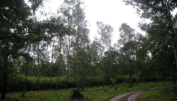  मुथंगा वन्यजीव अभयारण्य एक और लोकप्रिय स्थान है