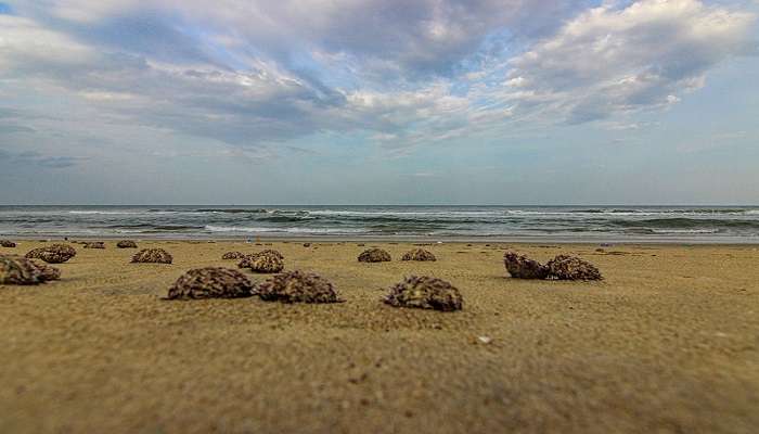 वीरमपट्टिनम बीच पांडिचेरी के सबसे अनोखे समुद्र तटों में से एक है