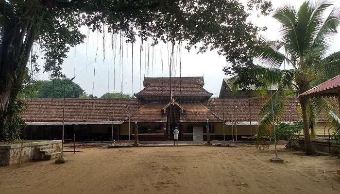 Cherai Beach tells stories of the sea on the tongue of wind mingling with the brine.