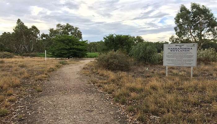 Narrandera Wetlands 