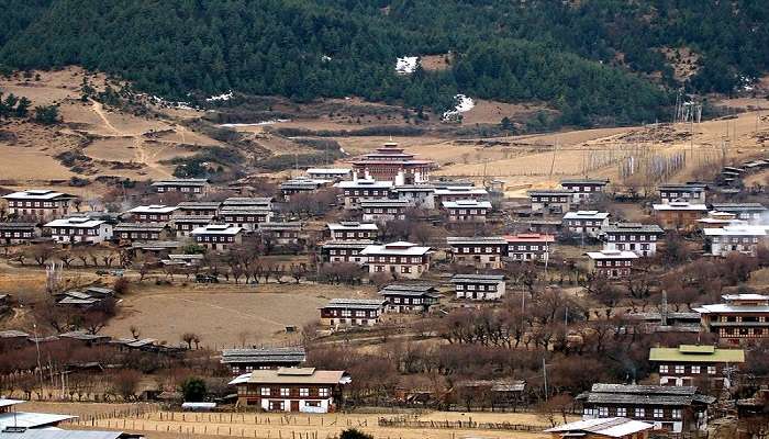 Lush green mountains of Bumthang Bhutan. 