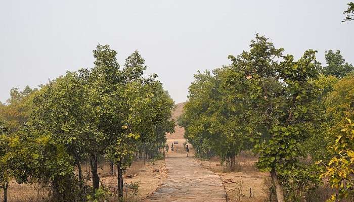 The path towards the Deur Kothar