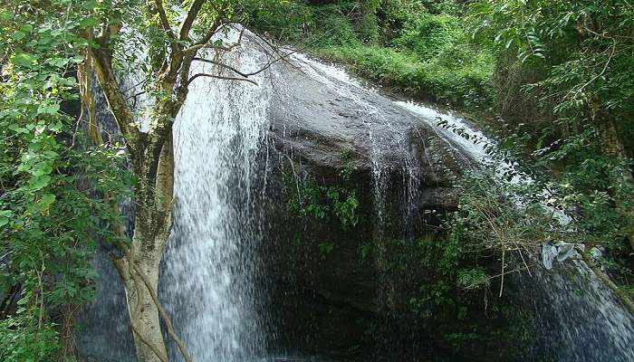 a serene view of the Monkey Falls.