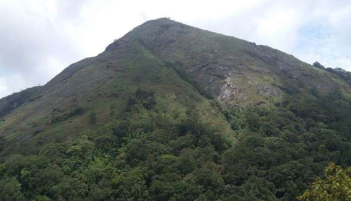 Breathtaking views from the Nelliampathi hills