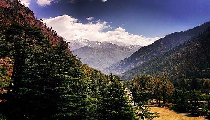 Nature Surrounding Parvati Valley