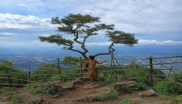 The Nelliyampathy Hills of Palakkad