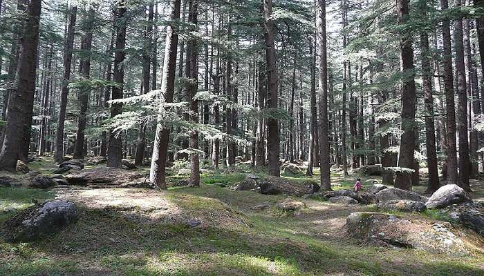 Van Vihar, Manali