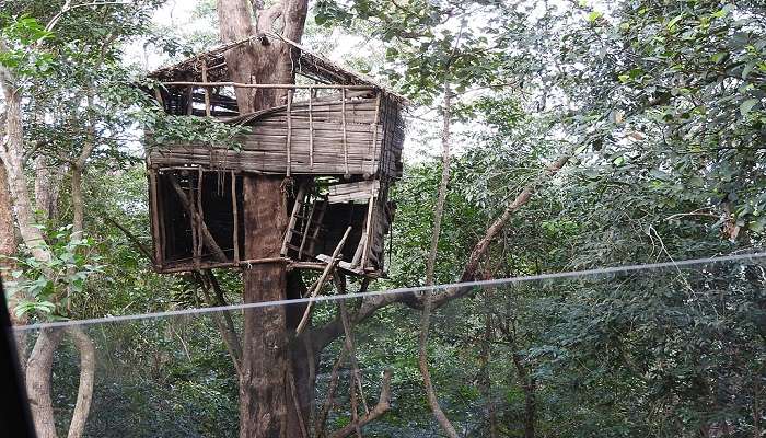 A tree hut at Peppara Wildlife Sanctuary