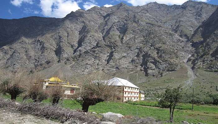 Camps at Jispa, Lahaul