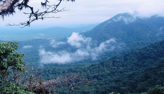 La magnifique des montagne de Agumbe