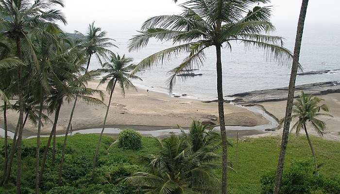 The view of swaying palms near Vagator Beach, Goa