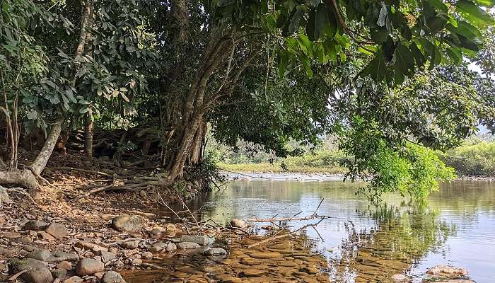 The entry gate of Aralam Wildlife Sanctuary