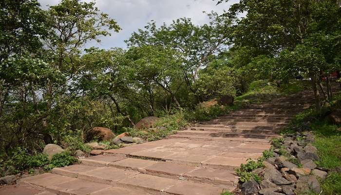 Beautiful view of Ralamandal Wildlife Sanctuary