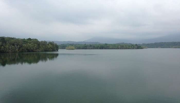 Serene view of Peppara Wildlife Sanctuary