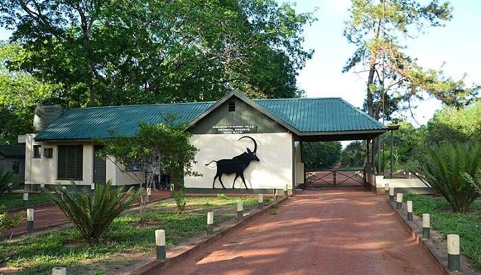 The Entrance to the Shimba Hills National Reserve