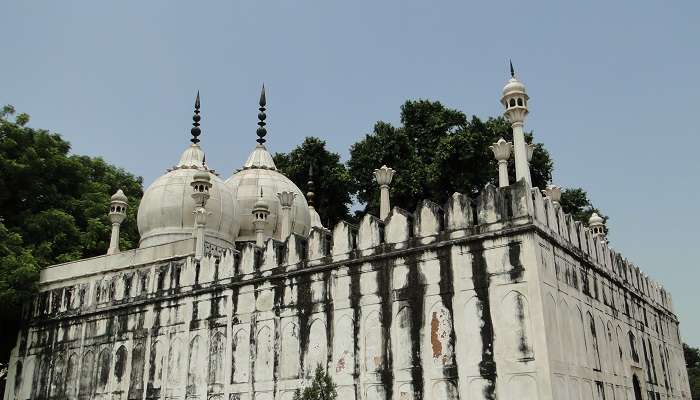 Uncover the cultural heritage of Moti Masjid in Agra.