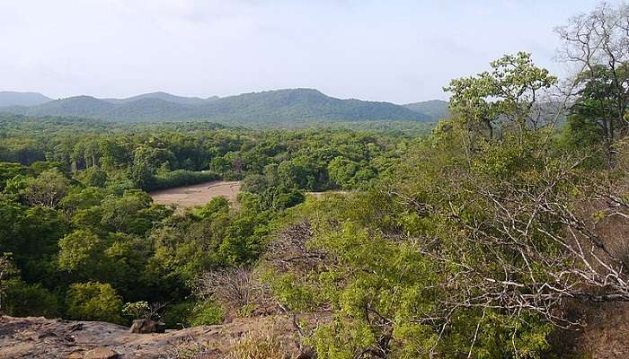 View of the western ghats seen from the Anshi national park