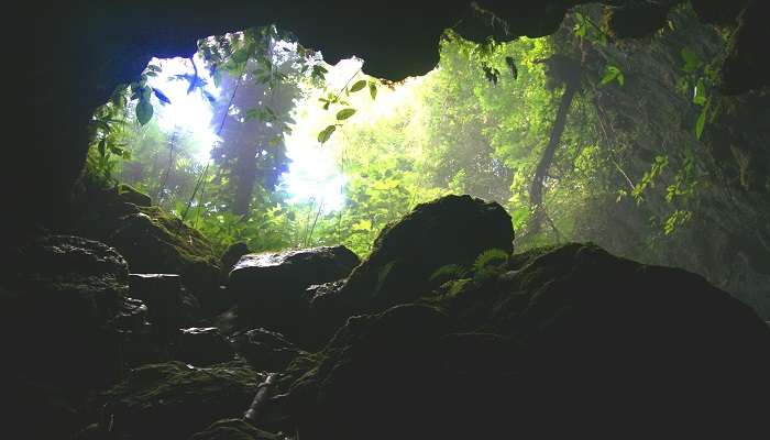The lush green forest surrounding the cave offers the perfect spot for nature walks and strolls