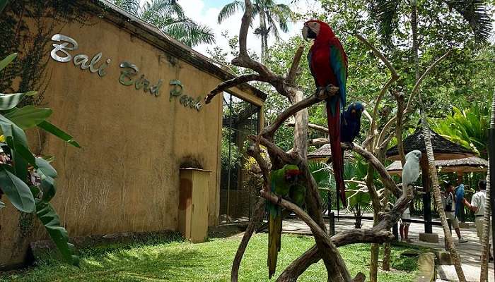 Colourful entrance of the Bali bird park near Sakenan Temple.