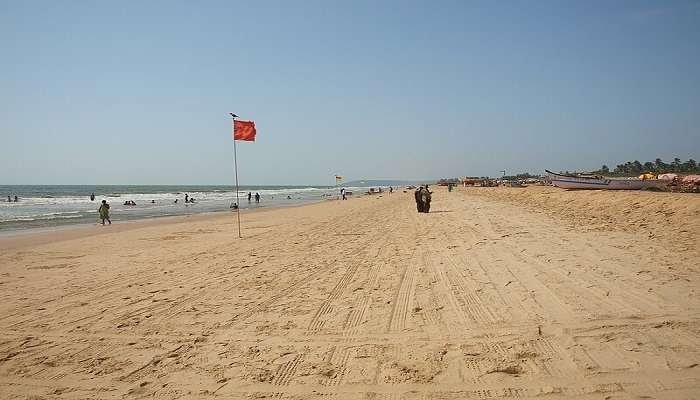 A relaxing view of the Candolim beach with relaxing chairs and beach umbrellas.