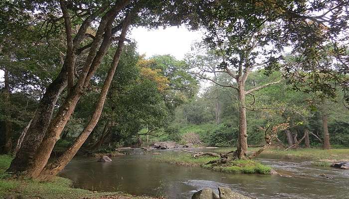 Begur Wildlife Sanctuary