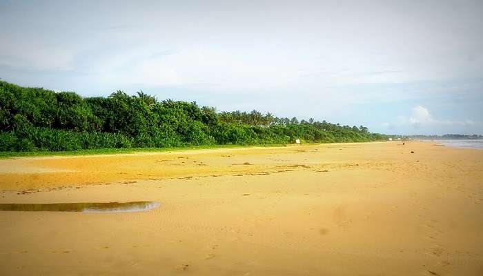 Sweeping view of Bentota Beach.