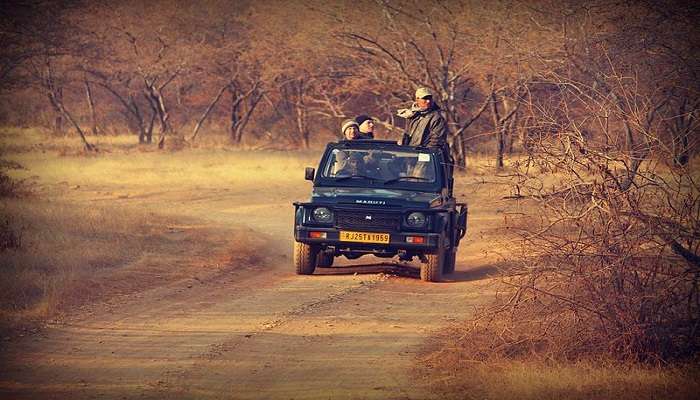 Jeep Safari in Ranthambore National Park