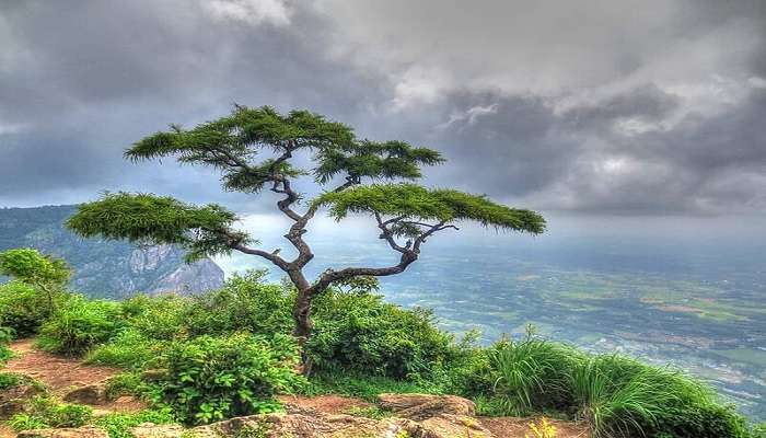 Seethargundu viewpoint 