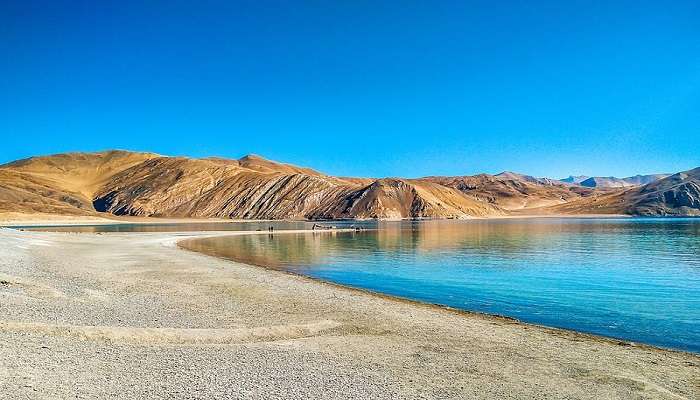 Breathtaking View of Pangong Tso 