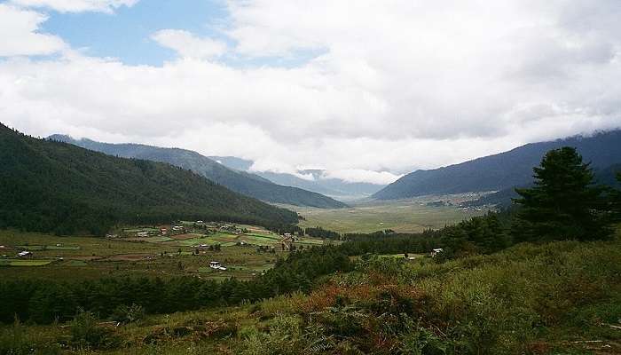 Scenic views of Bhutan in Autumn