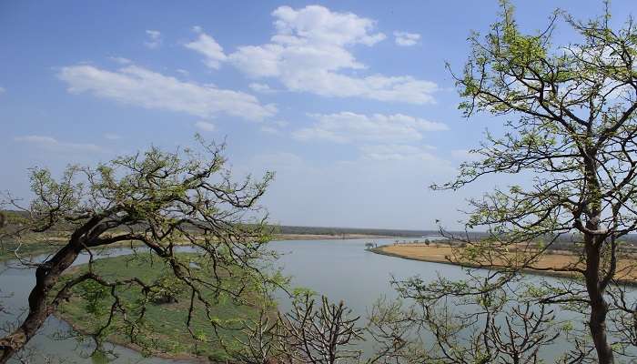 Soothing view of Betwa River 