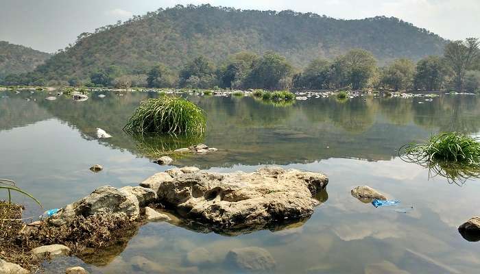 Calm lake amidst forest under blue sky at Bheemeshwari 