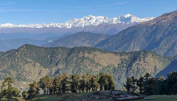  Chopta in winter is home to a variety of rare and endangered species of birds and animals alike. A Snow Leopard is one such example