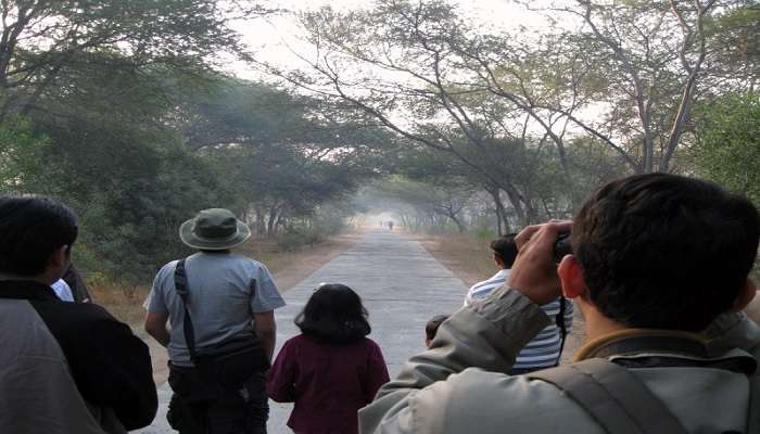 There are many birds to watch at the KBR National Park. 