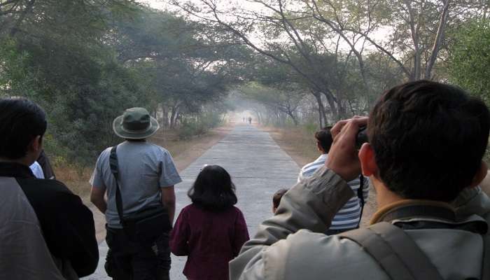 Make sure to check out the Bharatpur Bird Sanctuary