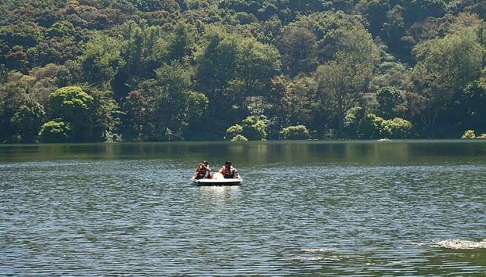 indulge into boating experience at deer park yercaud