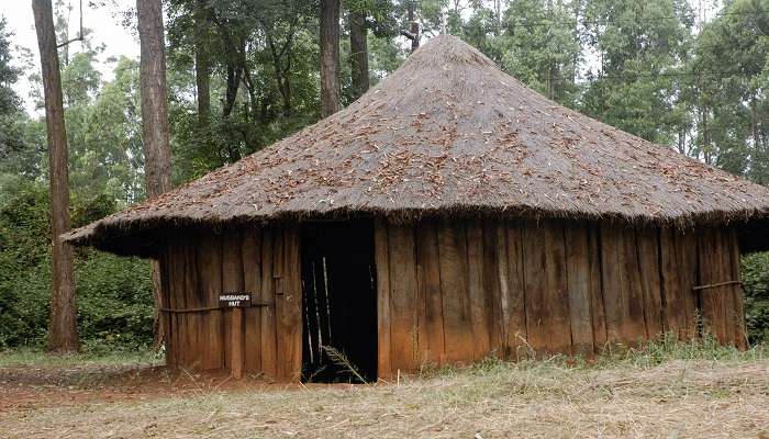  Visit the Bomas of Kenya in Kikuyu Vikkage