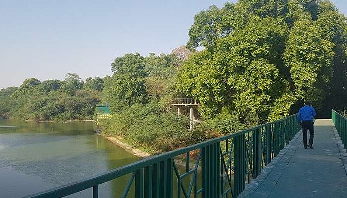 A Green Botanical Garden inside Kanpur Zoological Park