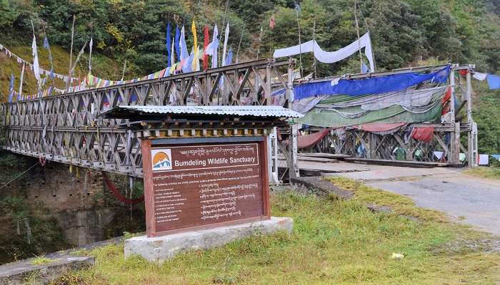  Bridge leading into the sanctuary with many flags and green backdrop