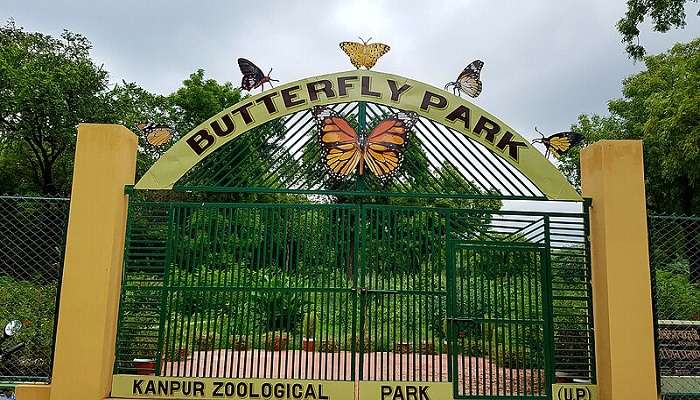 A beautiful butterfly park