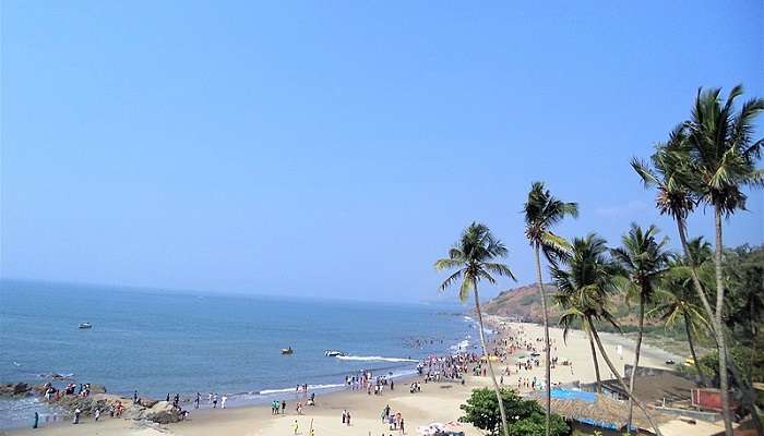 Calangute Beach is renowned for the mesmerising sunsets it offers.